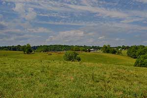 Cattle farm for sale in Virginia