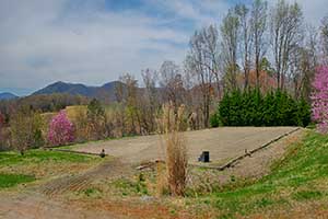 Madison County Va Horse Farm with indoor arena for Sale