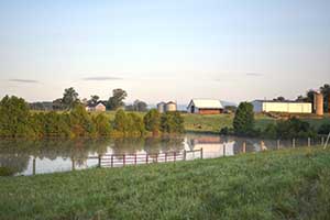 Farms for Sale in Virginia