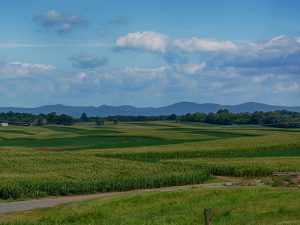 Farm in Virginia for Sale