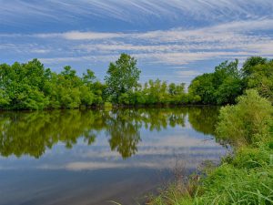 Charlottesville Farms for Sale with a Pond