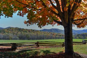 Fencing on Virginia Farms